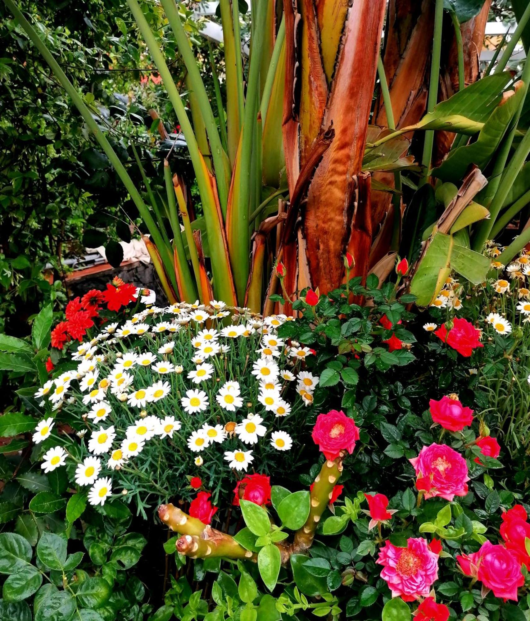 La Foresteria Garden Boutique CTA