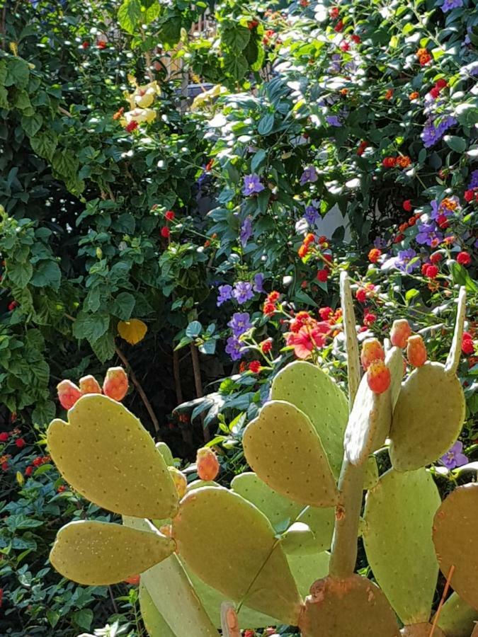 La Foresteria Garden Boutique 3*
